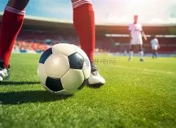 批护航舰队,亚丁湾展开,多维度实战,Bet365官网入口,体育博彩,在线投注,官网链接,体育平台,比分直播