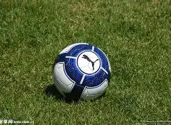 大乐透期号,专家质合分,析推荐前区,Bet365官网入口,体育博彩,在线投注,官网链接,体育平台,比分直播