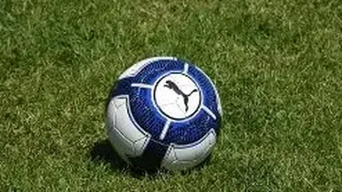 大乐透期号专家质合分析推荐前区十码，森林狼复仇在即